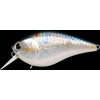 LC 2.5 DRS MS American Shad