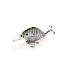 WOBTY 61 BLUE GILL