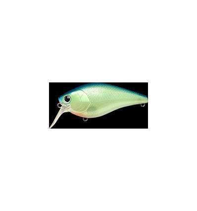 FAT CB SR Chartreuse Blue