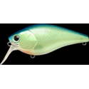 FAT CB SR Chartreuse Blue