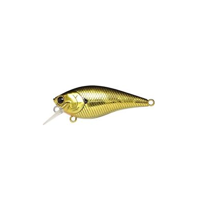 LC FAT CB BDS MAGIC 2.2 AURORA GOLD