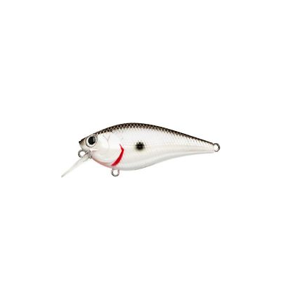 LC FAT CB BDS MAGIC 2.2 OR TENNESSEE SHAD