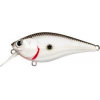 LC FAT CB BDS MAGIC 2.2 OR TENNESSEE SHAD