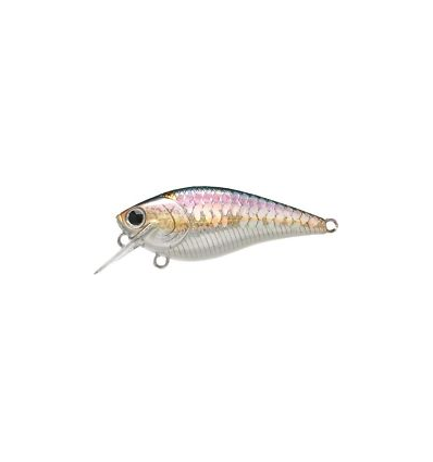 FAT CB BDS MAGIC 2.2 MS AMERICAN SHAD