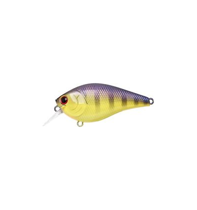 LUCKY RAFT RC 1.5 RT TO GILL