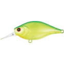 WOBTY 61 AP LIME CHART