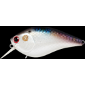 LC 2.5 DRS TO Shad