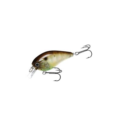 LC 1.5 DRS FLAKE FLAKE STRIPED GILL