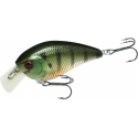 Osu Gill