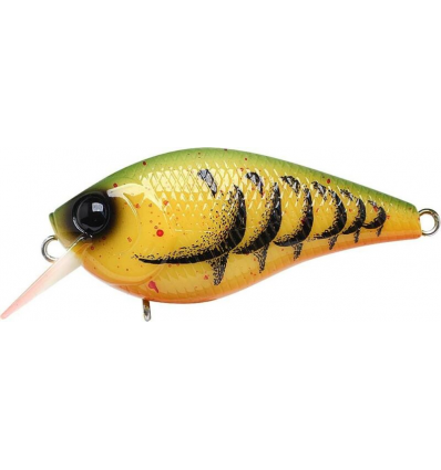 Zari Mation Green Yellow