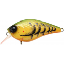 Zari Mation Green Yellow