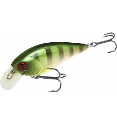 Shokunin Rootbeer Gill