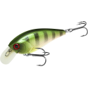 Shokunin Rootbeer Gill