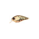 ZARI MATION GENKI BROWN