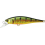 Vobleris LUCKY CRAFT POINTER 65 SP Aurora Gold Northern Perch
