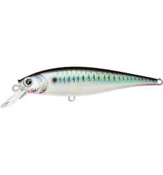 Vobleris Lucky Craft Pointer 78 SP Live Threadfin Shad