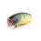 VOBLERIS LUCKY CRAFT SUM MALAS Gold Skin Perch
