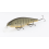 Vobleris LUCKY CRAFT POINTER 128 SP NC Female Bluegill