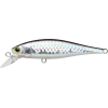 Vobleris Lucky Craft Pointer 65 SP MS Anchovy