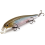 Lucky Craft Flash Pointer 100