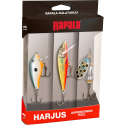 Rapala masalų rinkinys 14RA-LAKTHR3