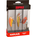 Rapala masalų rinkinys 14RA-LAKTHR4