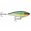 Rapala Twitchin Rap 12cm RNR