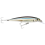 Rapala vobleris SXR-14 Anchovy (ANC)