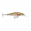 Rapala vobleris Shadow Rap Shad Deep SDRSD09 Live Rainbow Trout (RTL)